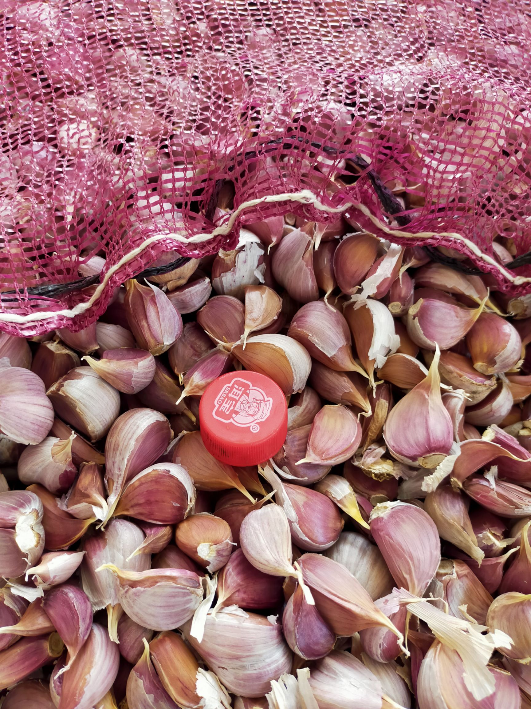 高原红蒜，香蒜，寒蒜红根蒜苗种子红皮蒜瓣子可以种可吃