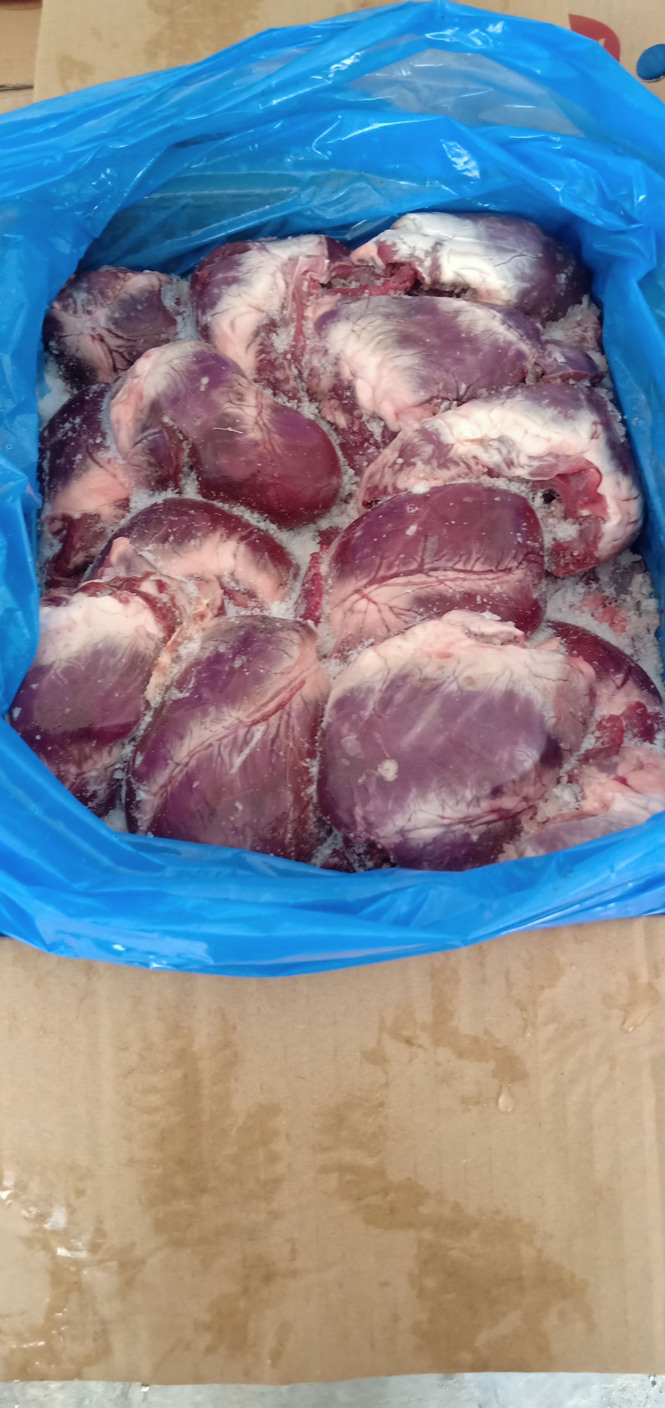 猪心，一件代发，量大从优