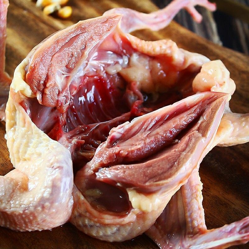  肉鸽，美味王土鸽