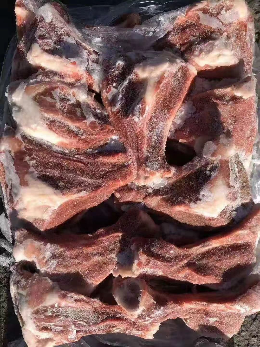 国产扇骨（13-15个），带肉率50%，新货，新开检疫