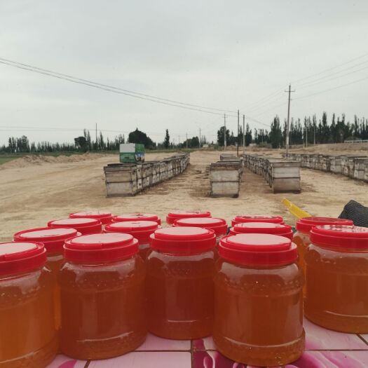 玉门市红花蜜  42℃成熟蜂蜜