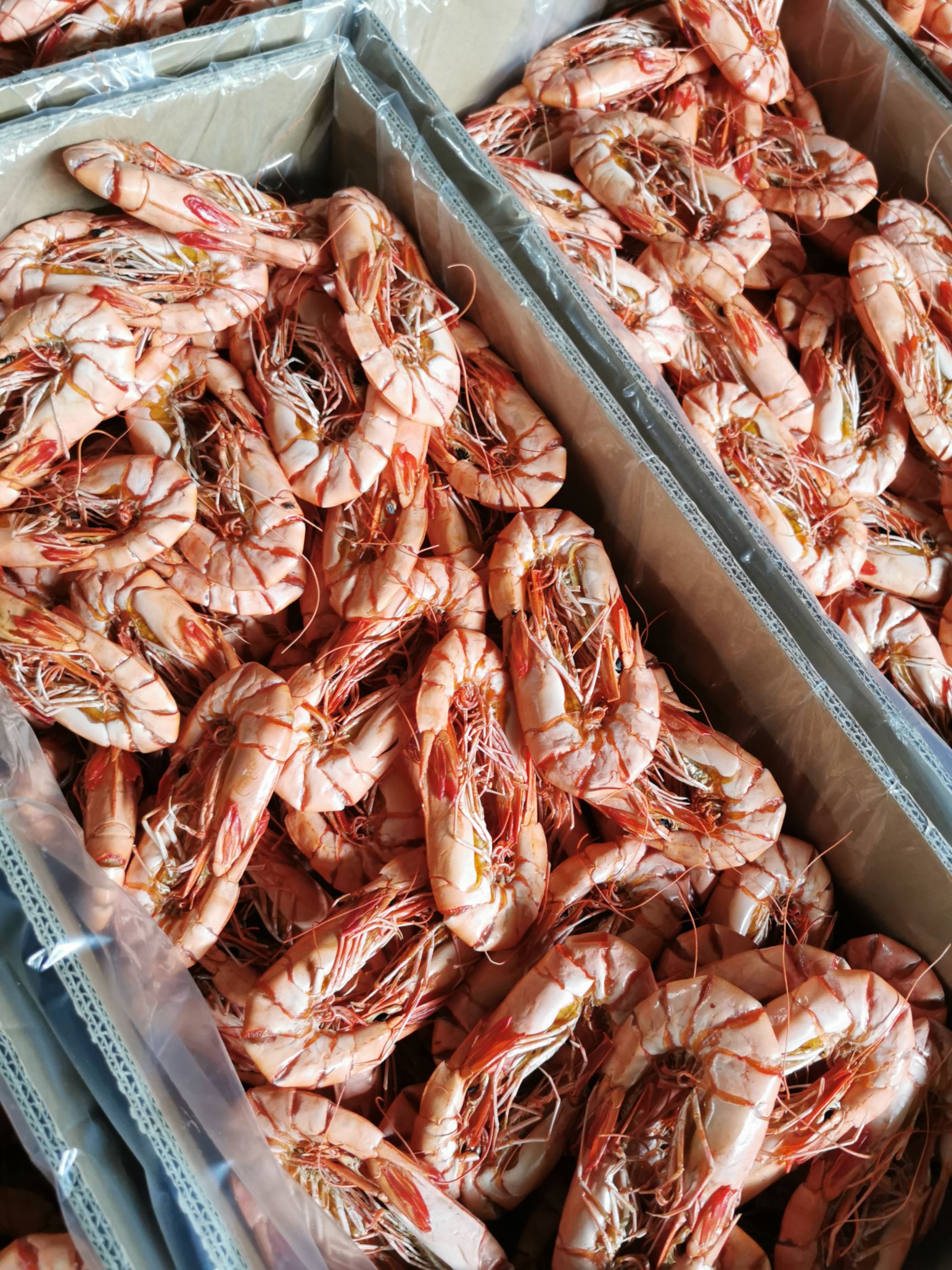 对虾干 九节虾干，小孩即食零食补钙特大炭烤大虾