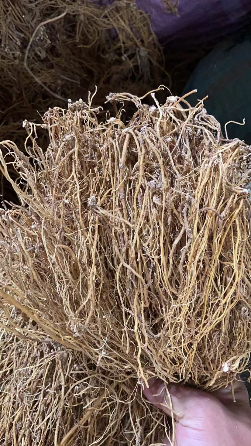 滇龙胆草选货产地直供