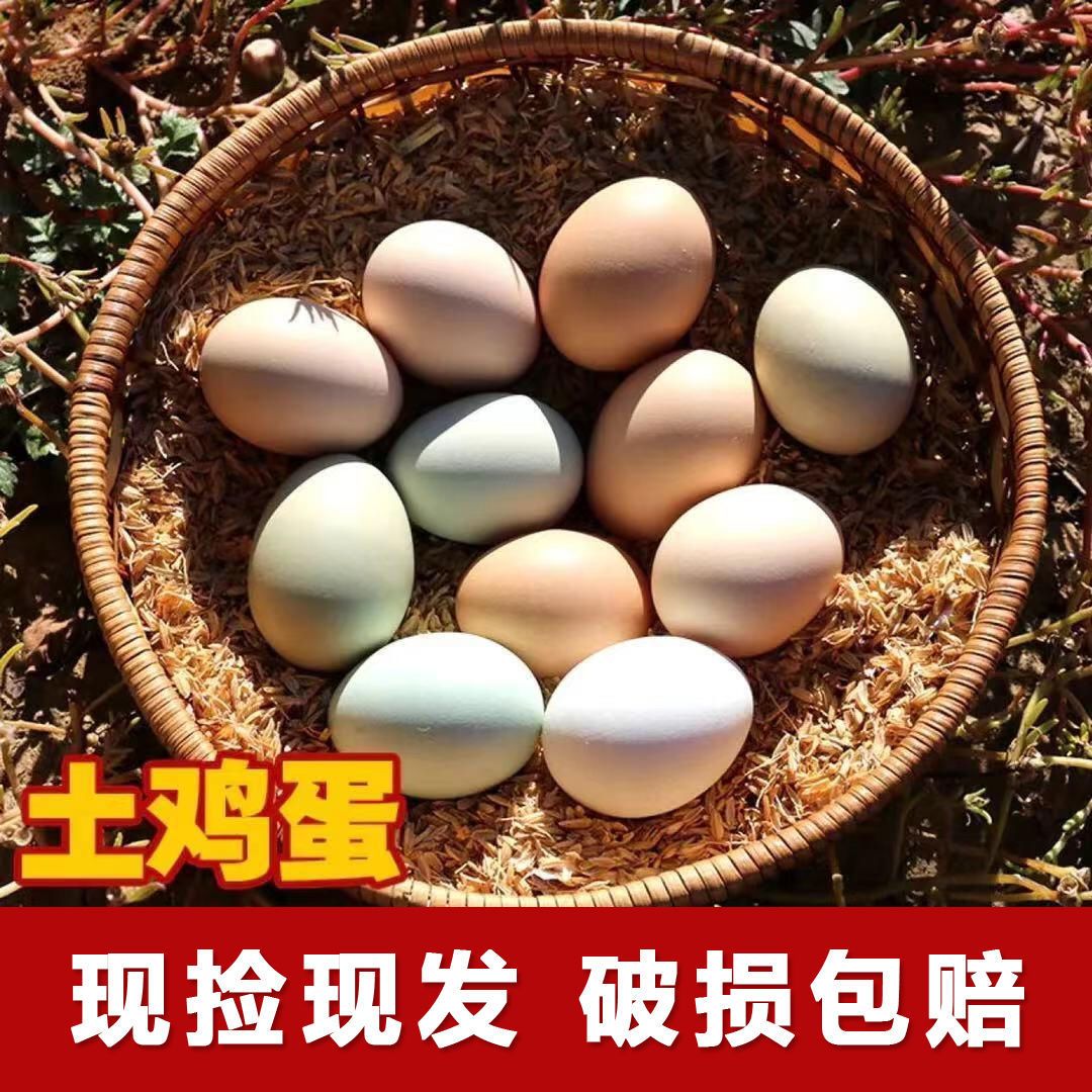 农家散养土鸡蛋现捡现发正宗新鲜，大个笨鸡蛋