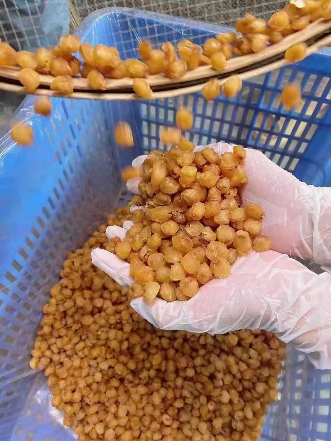 广东高州特级桂圆肉散装批发