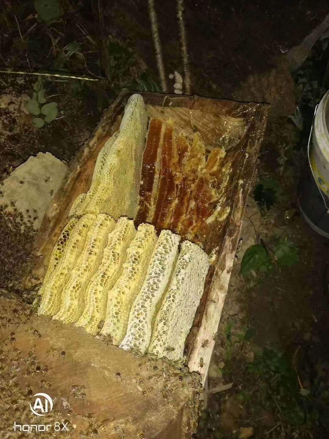 土蜂蜜