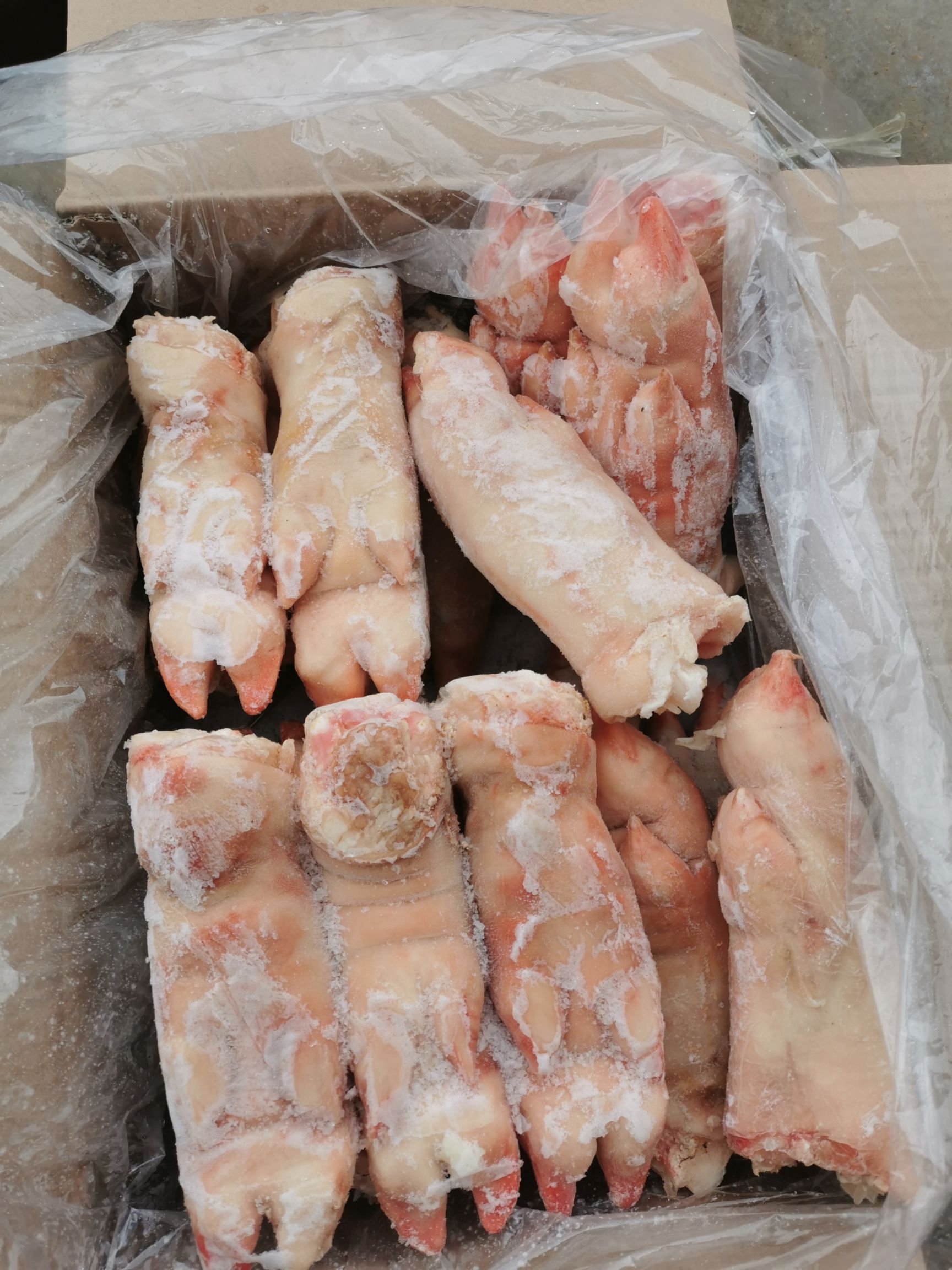 猪蹄，一级猪前蹄一件代发，量大从优