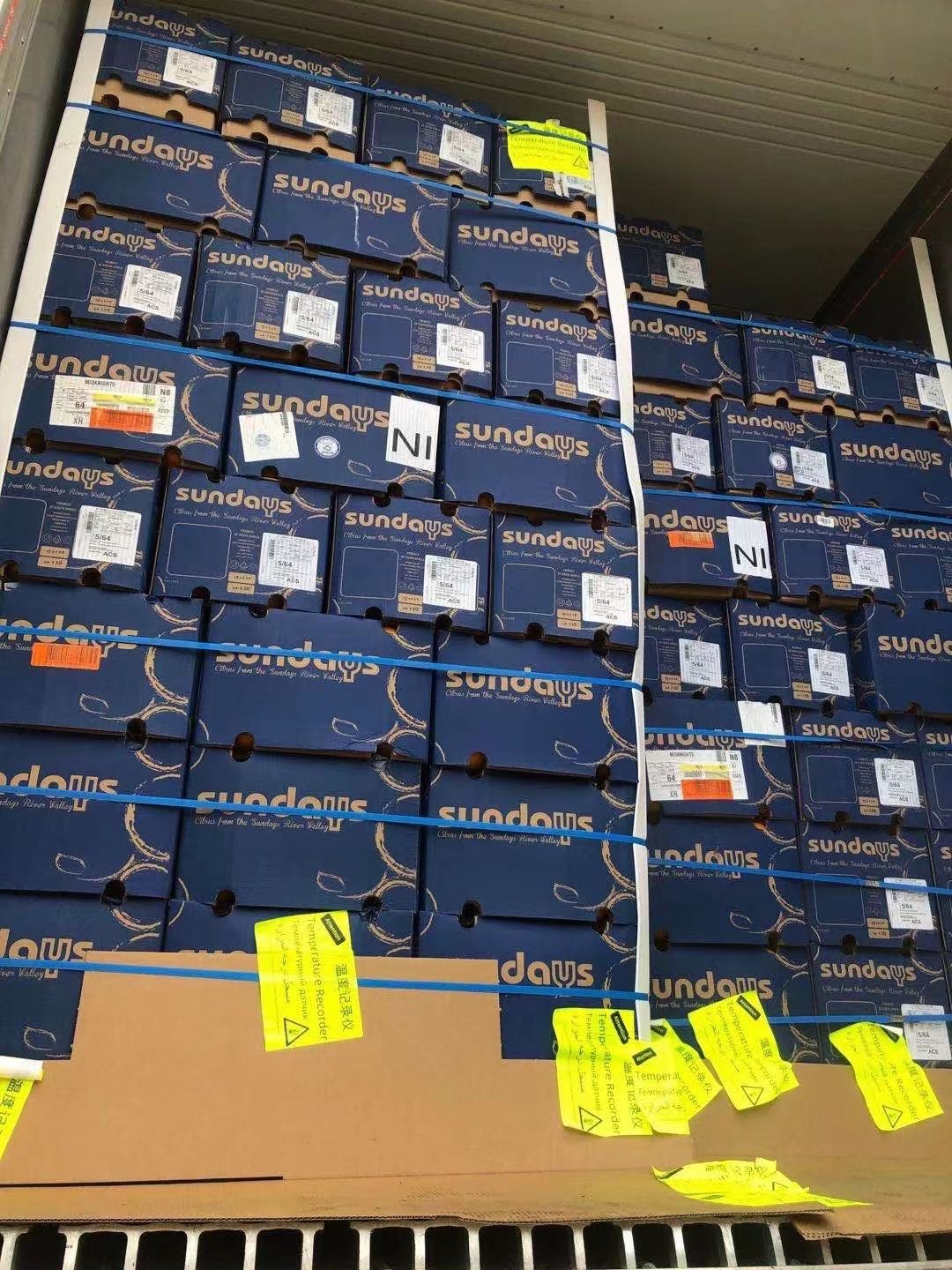 南非橙  南非甜橙酸橙鲜果