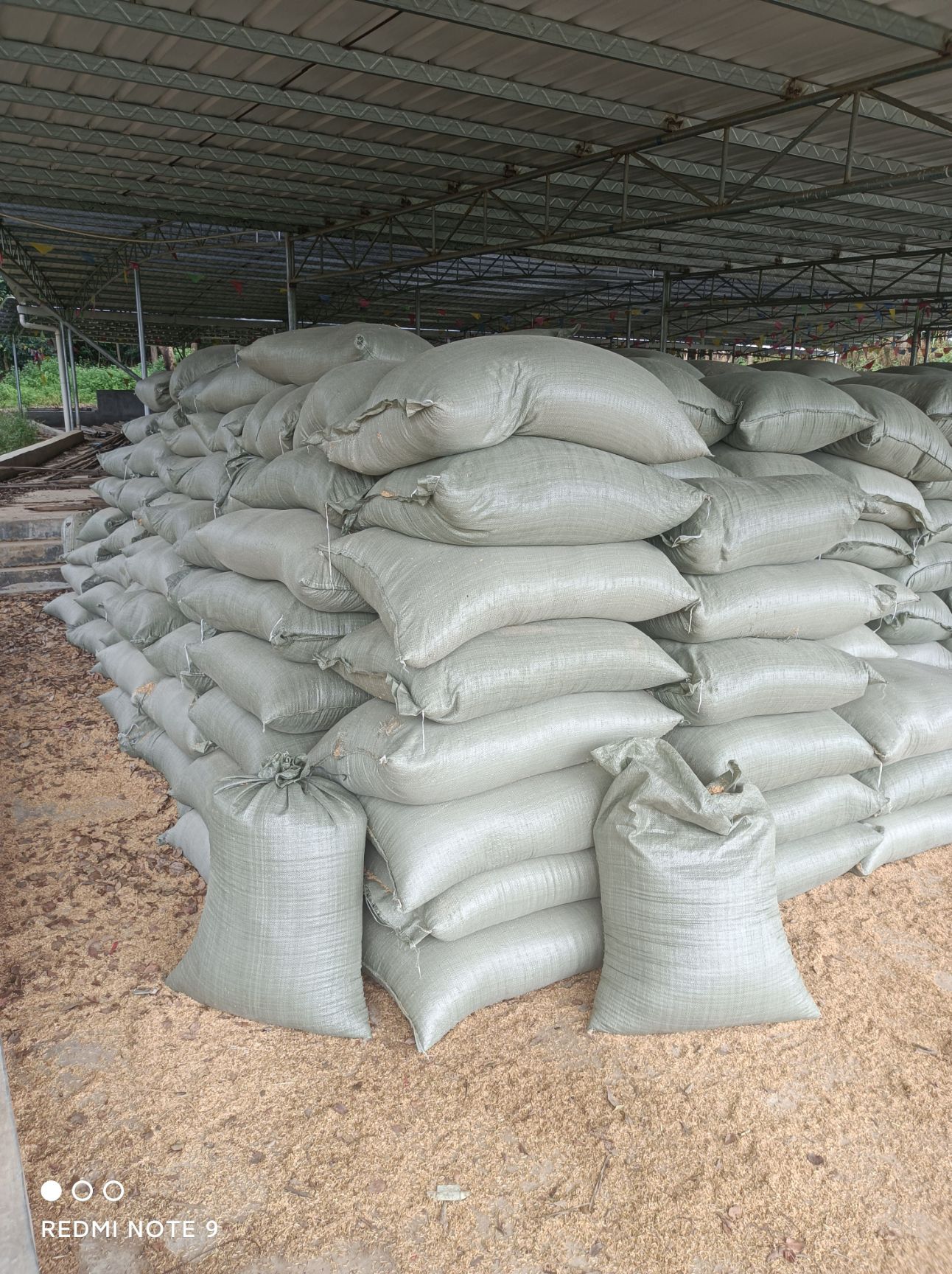 谷壳稻谷壳 普通稻壳