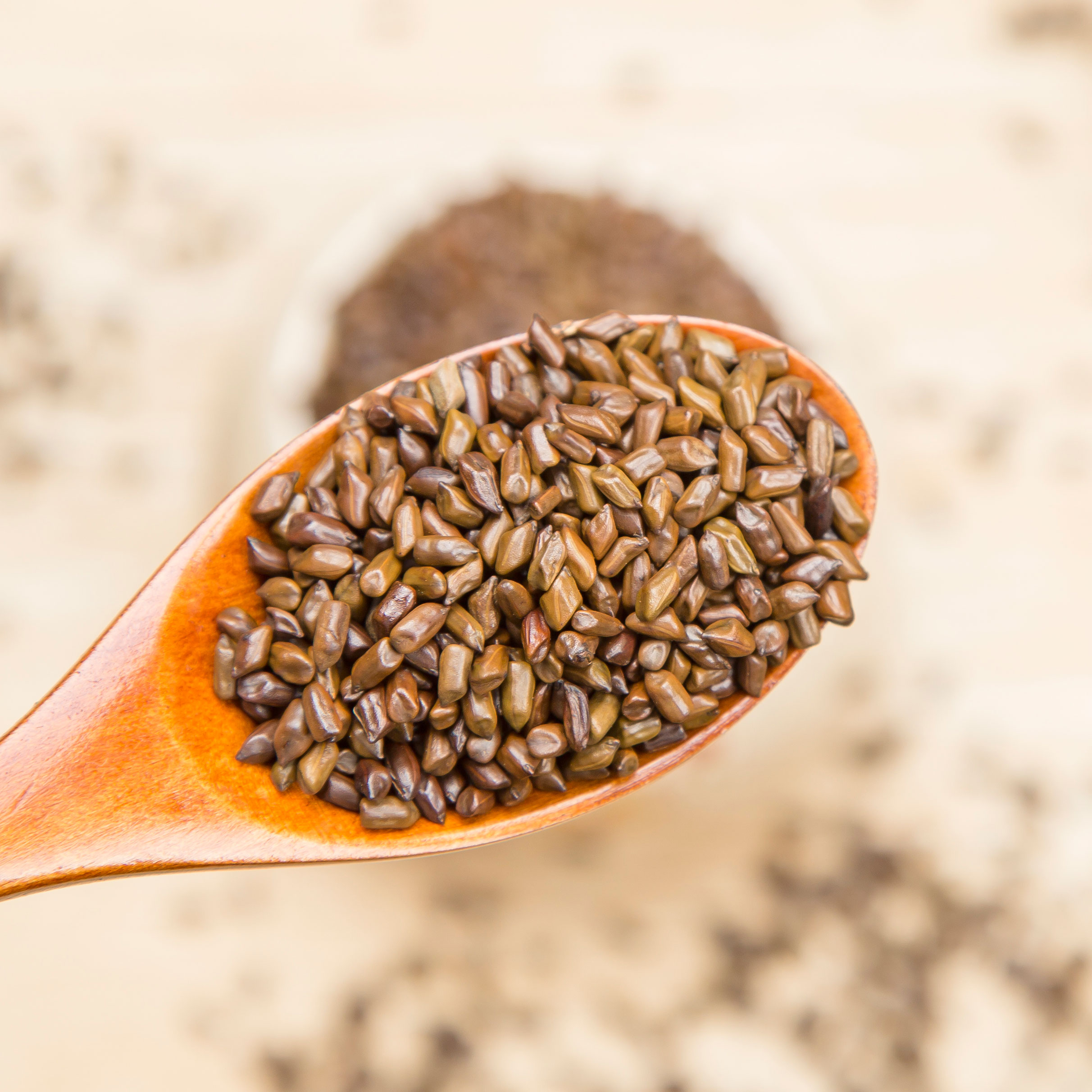 决明子  国产大粒选货 含量高 量大从优