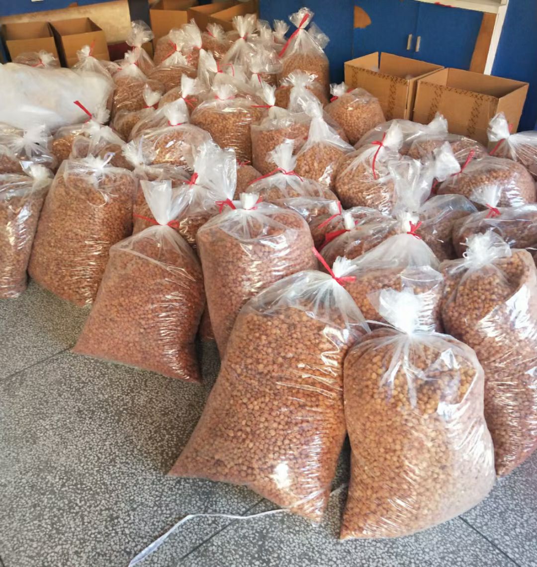 广东高州特级桂圆肉散装批发