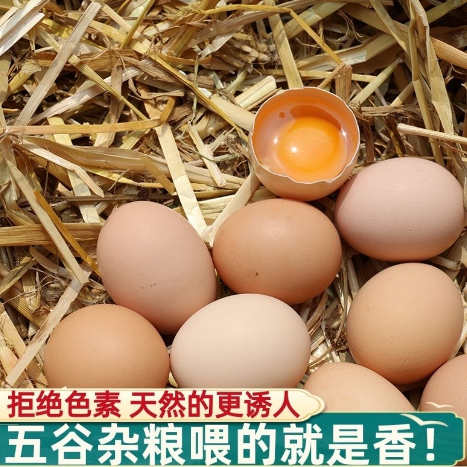 农家散养土鸡蛋现捡现发正宗新鲜，大个笨鸡蛋