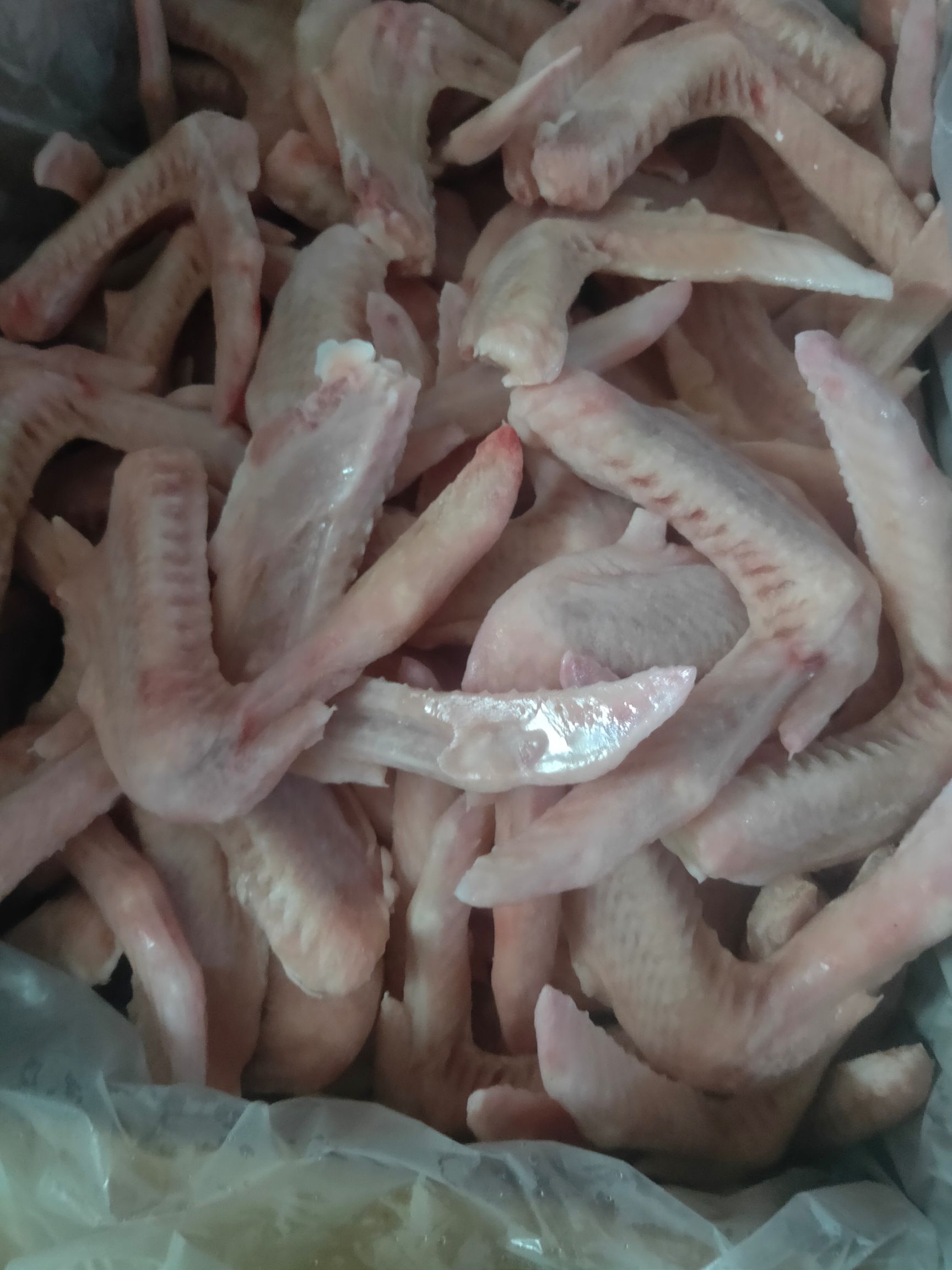 鸭翅  二节翅L厂家直销需要的联系