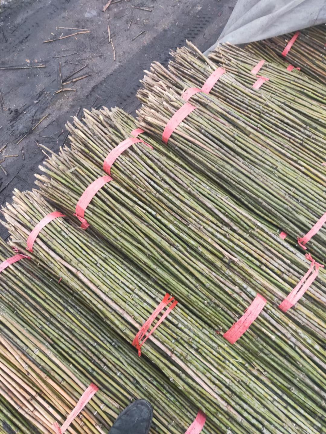  豆架，黄瓜架，各种竹子