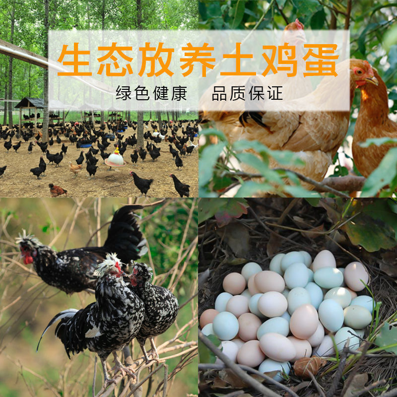 农家散养土鸡蛋现捡现发正宗新鲜，大个笨鸡蛋