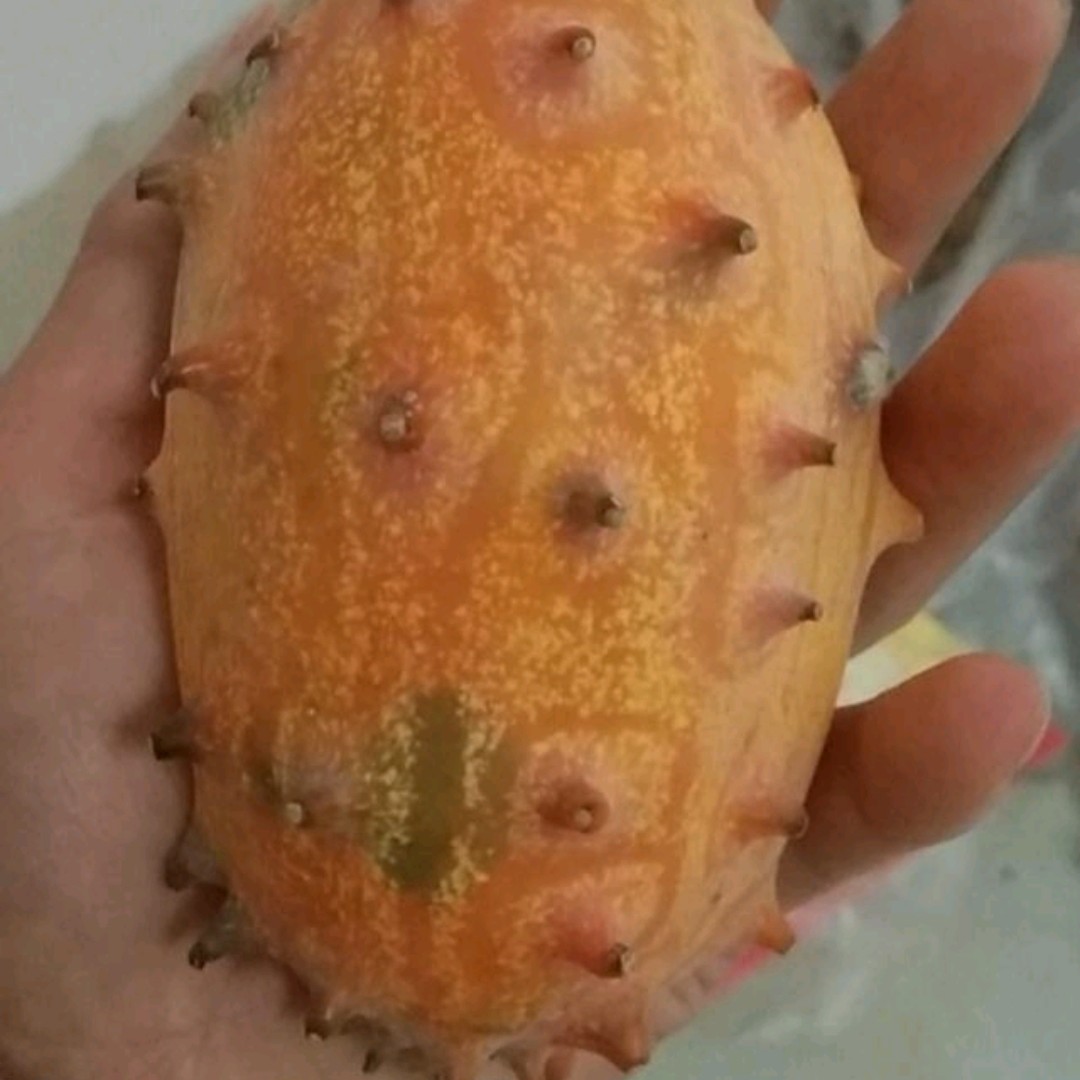 火参果精选基地直供刺角瓜非洲蜜瓜火星果灭霸同款新鲜现摘