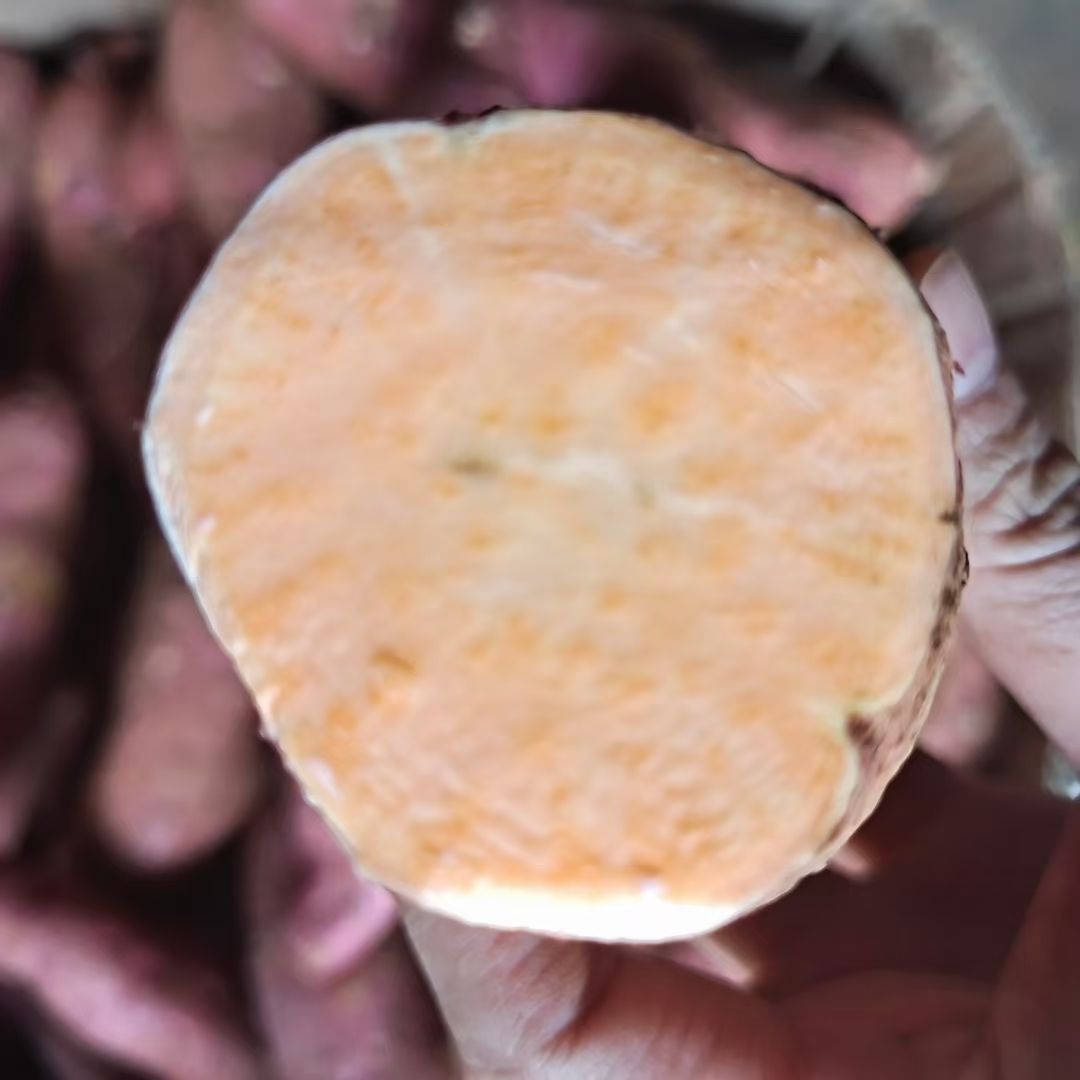 红薯  【坏损包赔包邮】高原红皮黄心蜜薯口感甜蜜