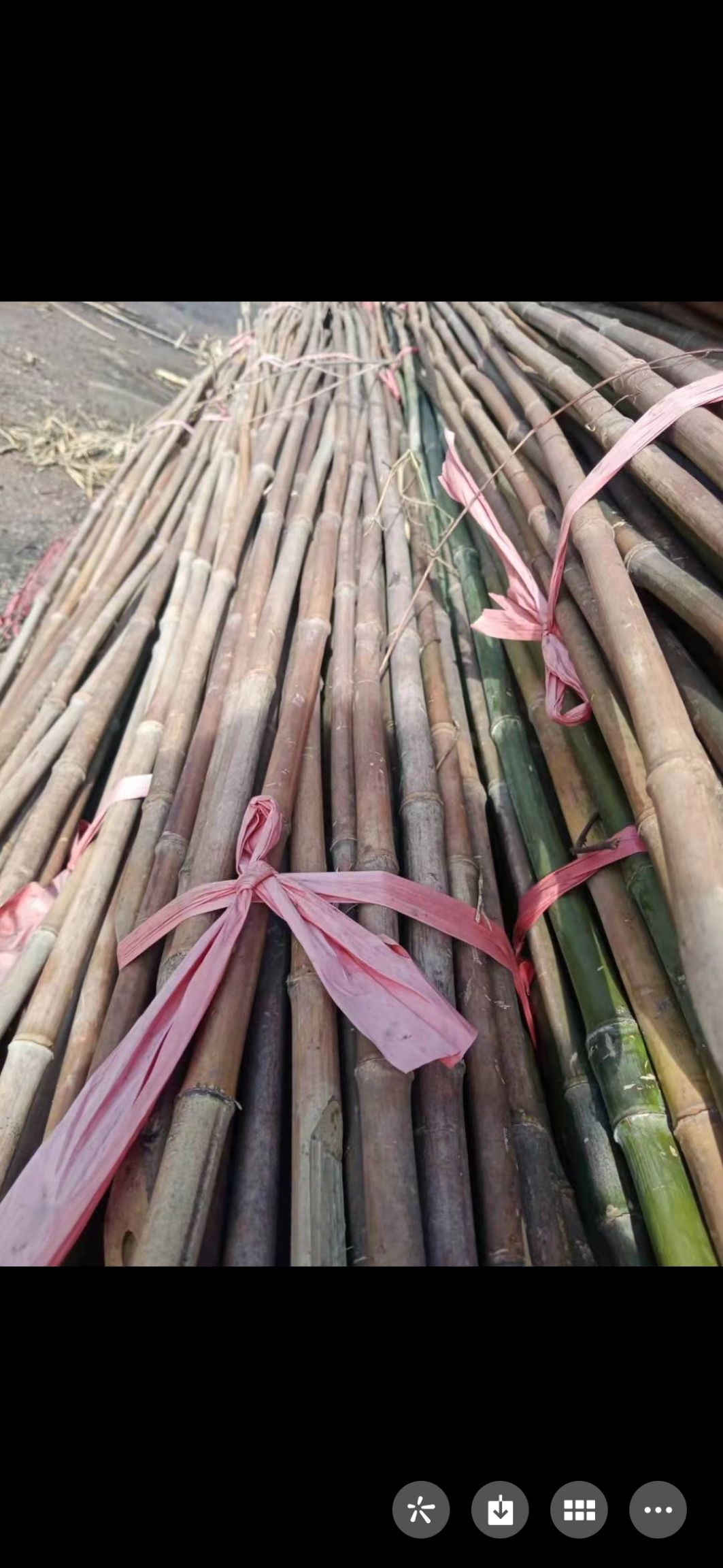  豆架，黄瓜架，各种竹子