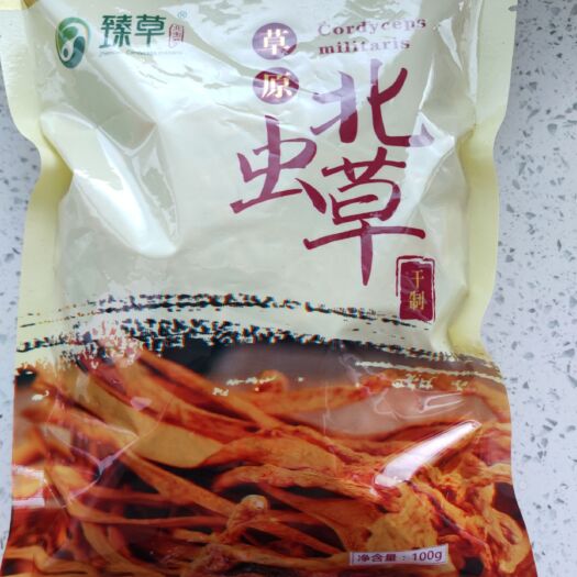 敖汉旗北虫草  孢子头袋装虫草花100克批发零售产地一手货源