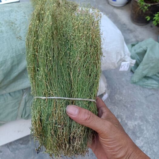 陆丰市四叶莲干货，湿货都有一斤28元，整件发货