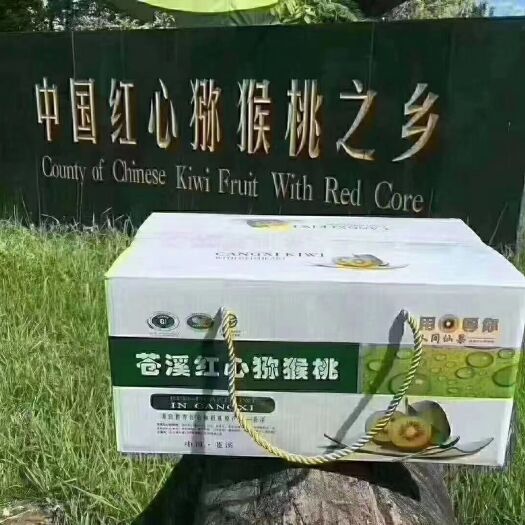 苍溪县四川苍溪红心猕猴桃