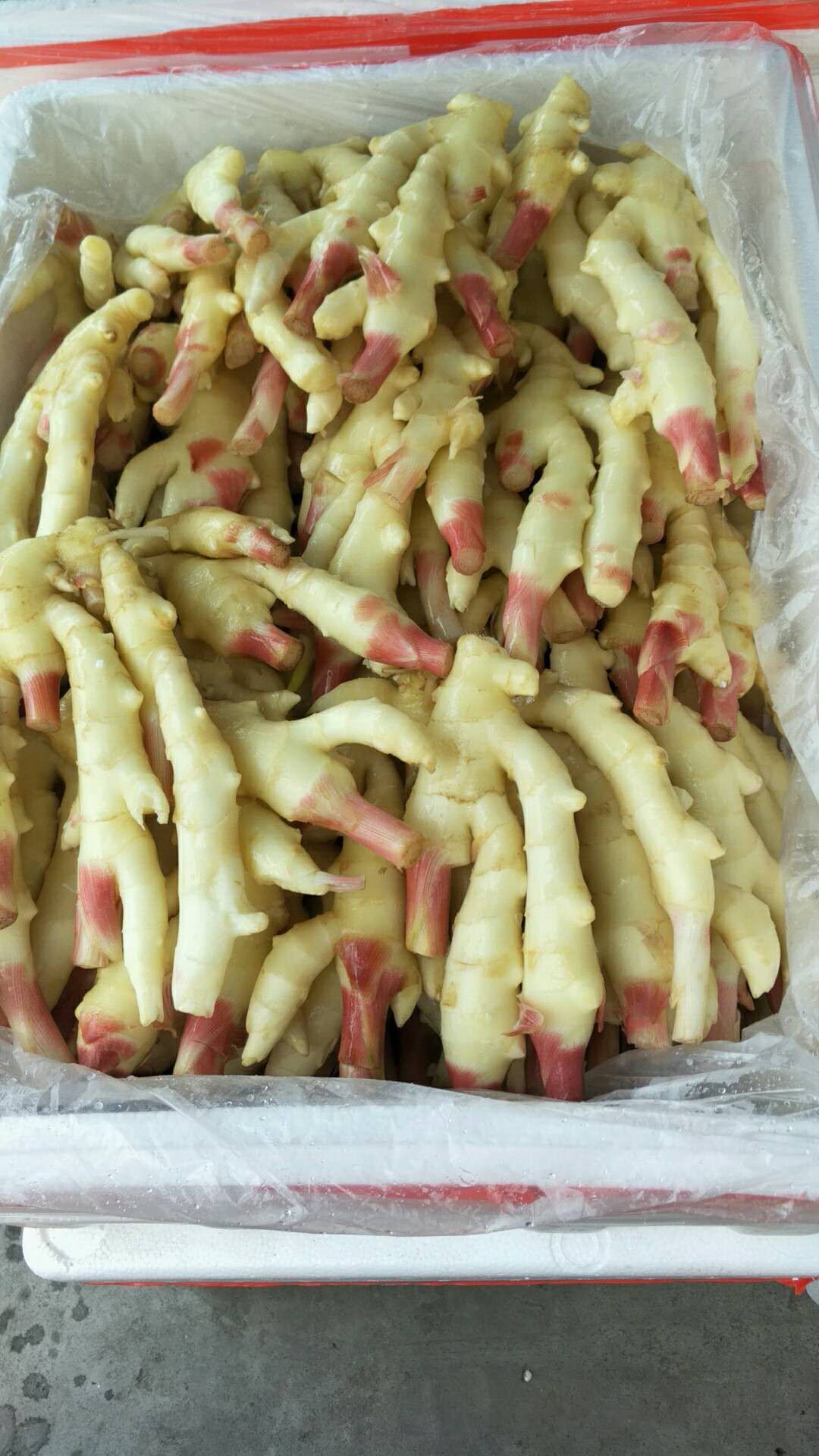 仔姜 鲜姜 嫩姜 山东生姜产地批发 货源充足 全国发货