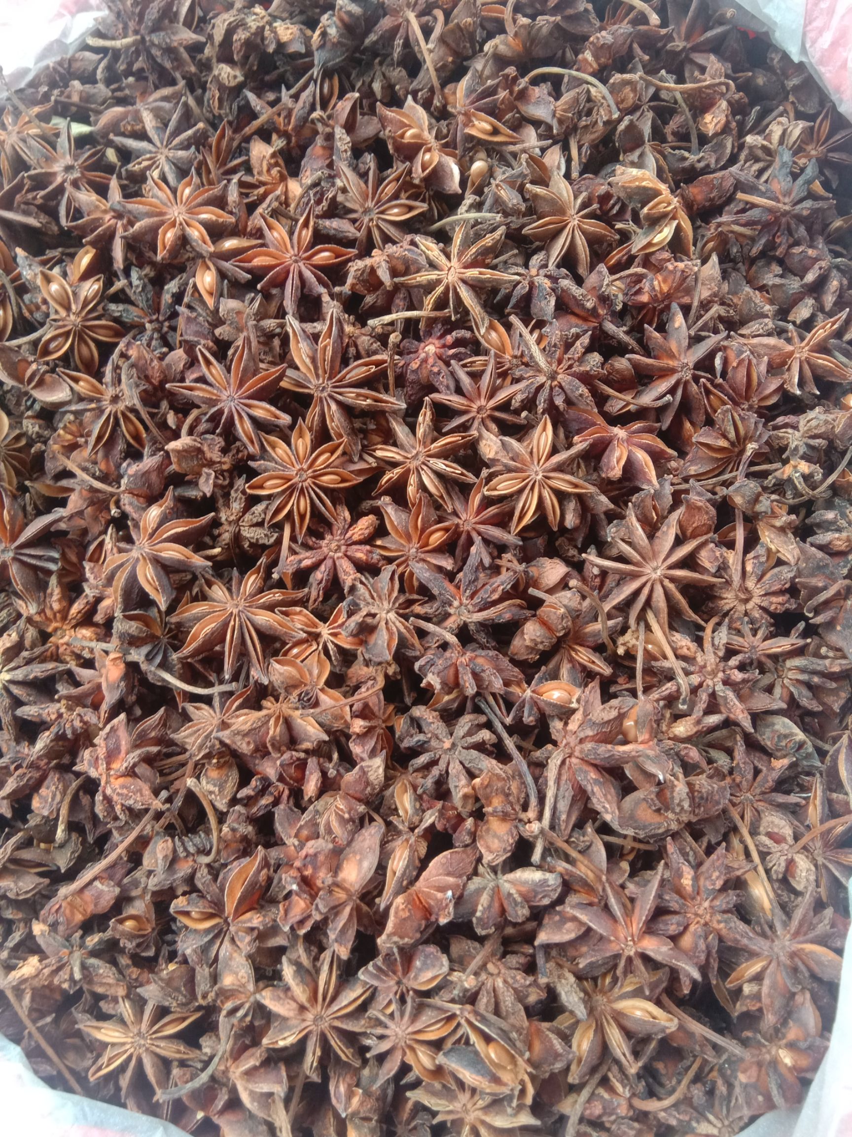  广西大红八角，新货已上市