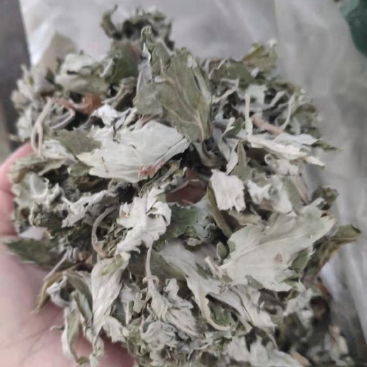 平邑县 苦艾，全叶，干货