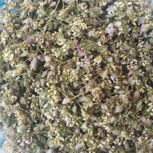 东乌旗摘蒙花 今年的新麻麻花，干湿都有喜欢可以联系