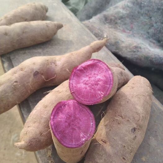 红薯  山东红薯品种齐全，紫薯 济薯 烟薯等货源充足大量批发