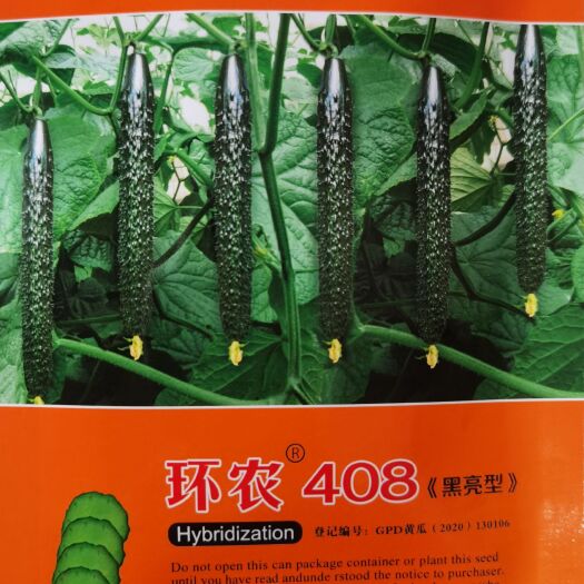 环农408耐热黄瓜种子 顺直度好 早熟不早衰 抗病能力突出