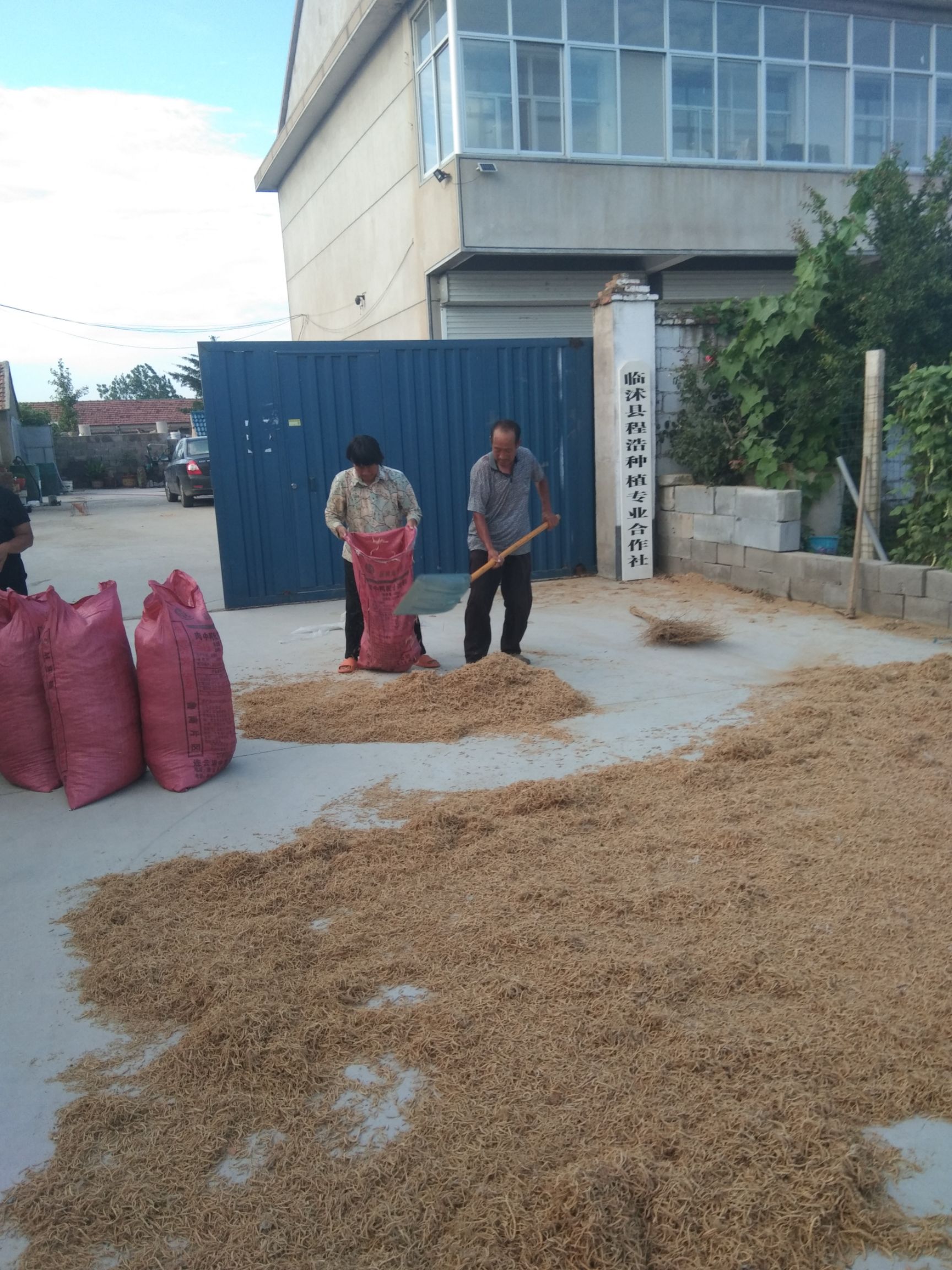 太子参农家自产自销，无中间商，保质保量，货真价实，产地直发。