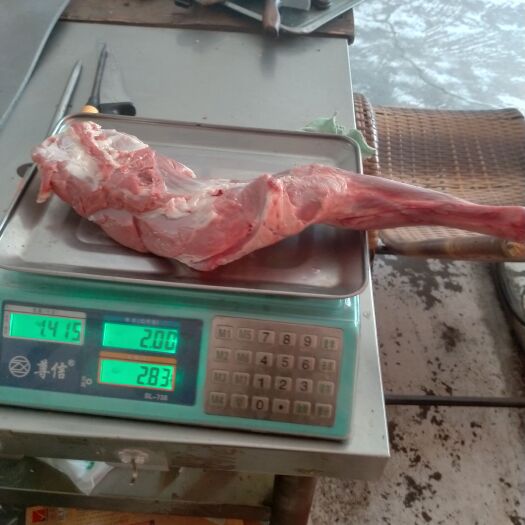 天津羊副产品  羔羊前腿