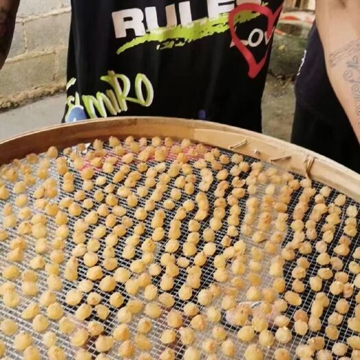 博白县桂圆干  自家的传统手工桂圆肉