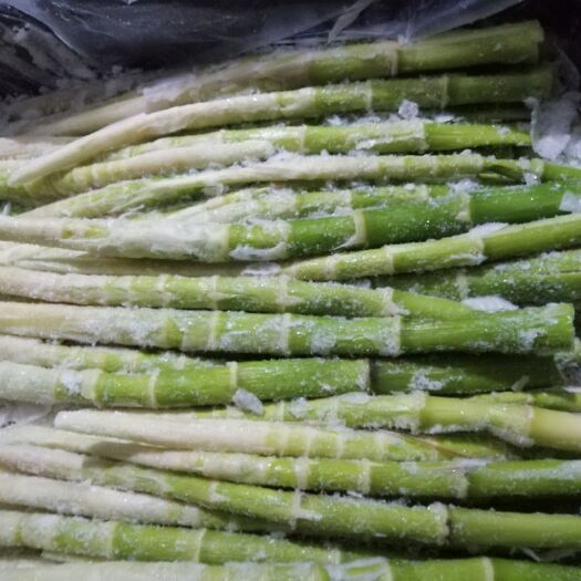西安速冻蔬果  速冻野山笋