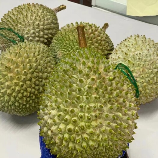 深圳马来西亚猫山王榴莲D197当季果 裸果净重20斤 精选5