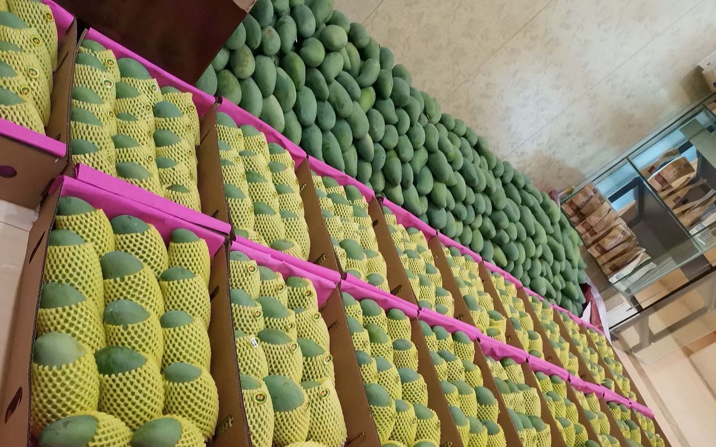 桂七芒 广西特产贵七芒果