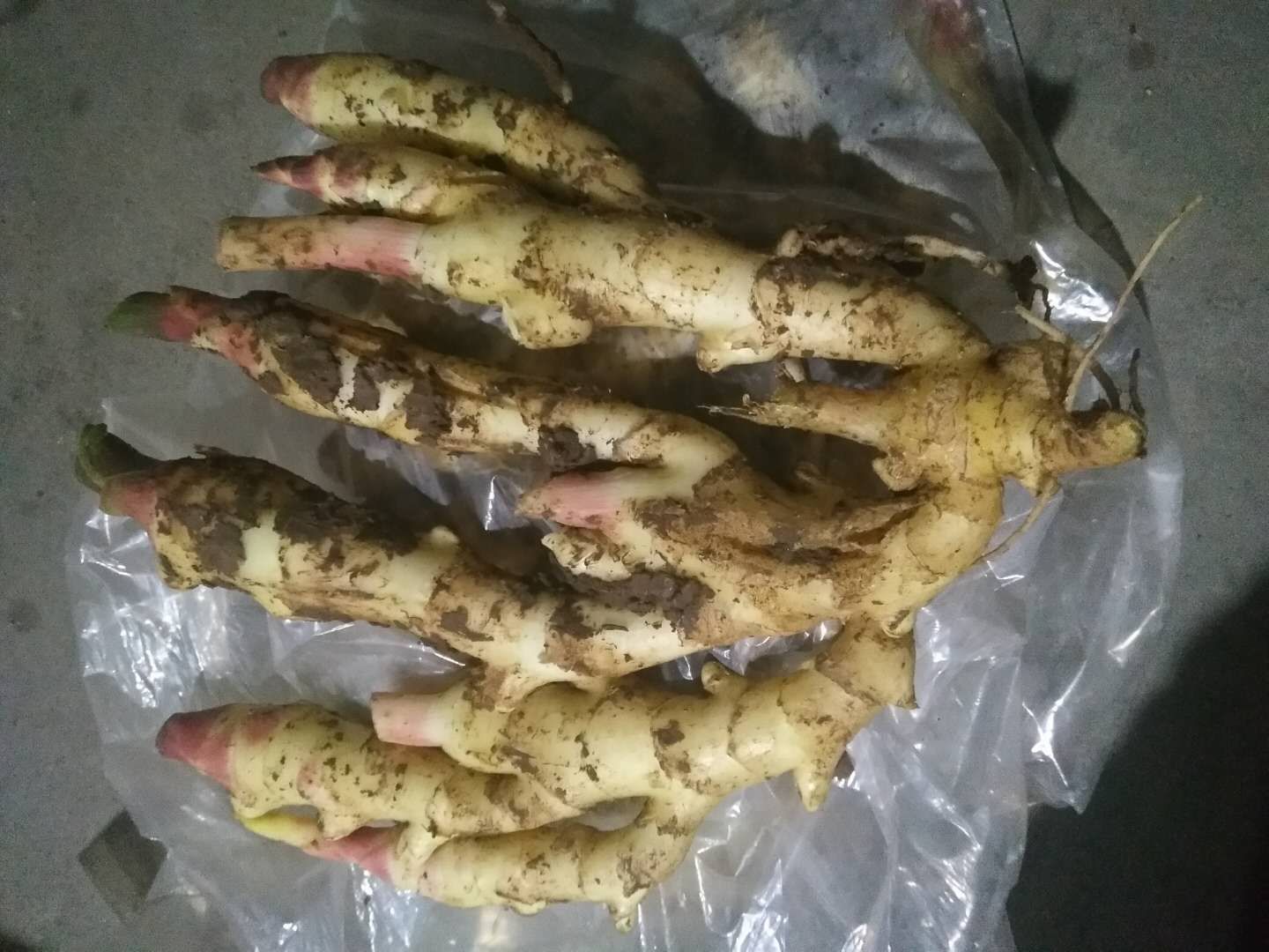 仔姜 鲜姜 嫩姜 山东生姜产地批发 货源充足 全国发货