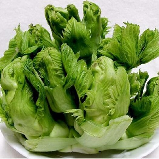 邯郸儿菜