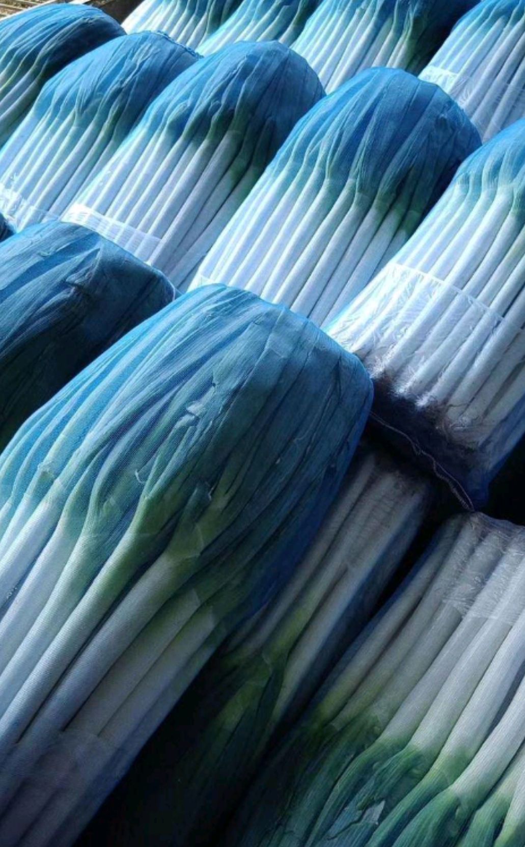 长白大葱  对接各大企业，山东安丘直供铁杆大葱现货稳定供货