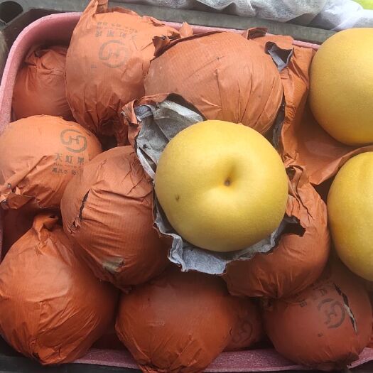 秭归县 丰水梨
