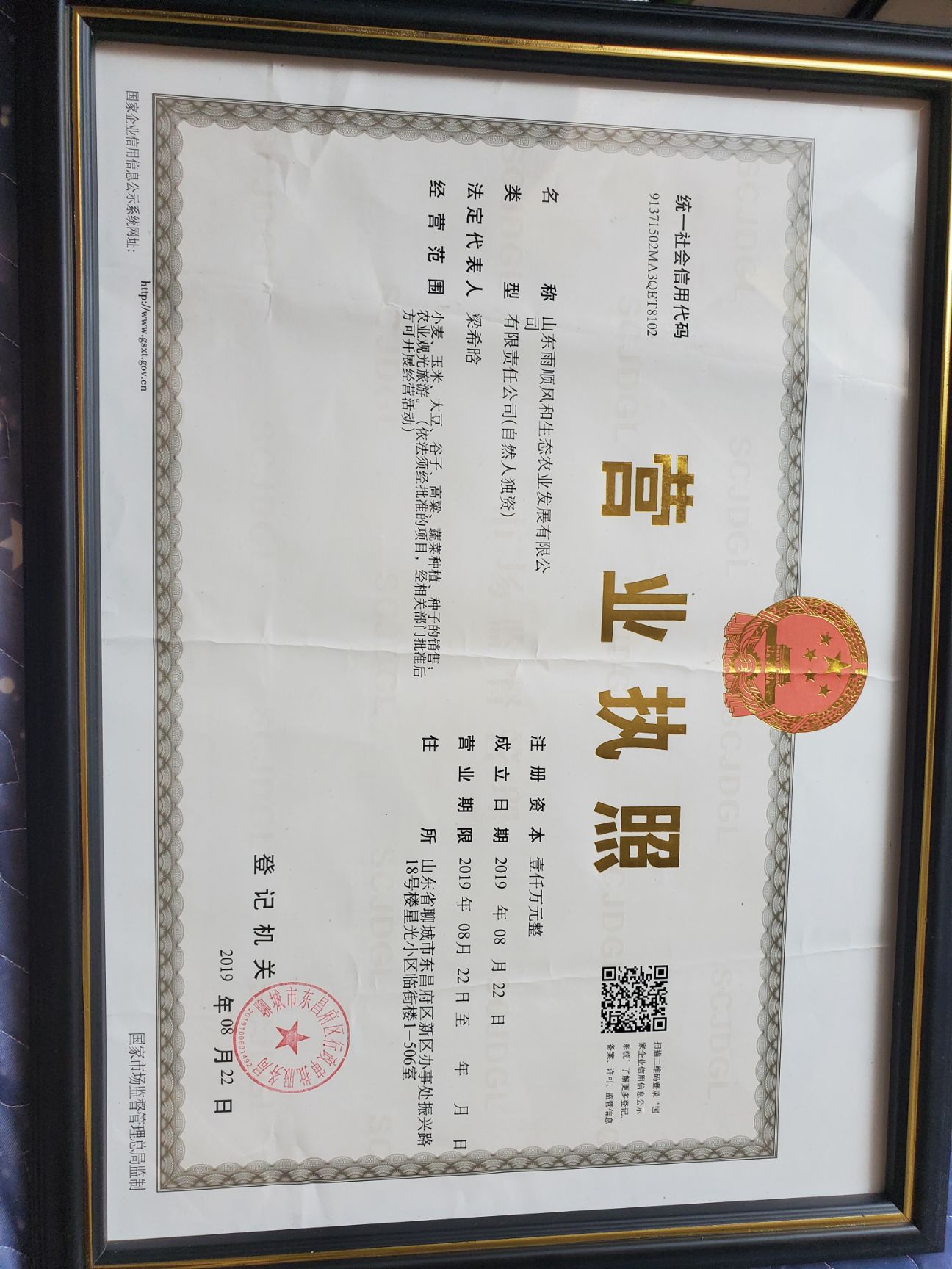 小麦种子高抗病高抗倒伏风和二号
