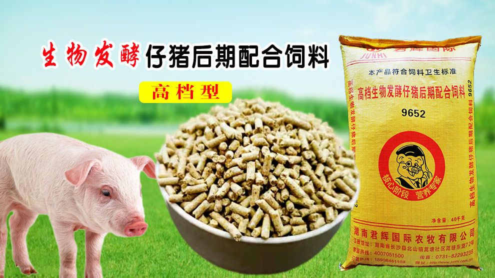 猪饲料 君辉国际   高档生物发酵仔猪后期配合饲料9652