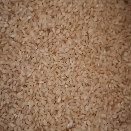 云南红河红米