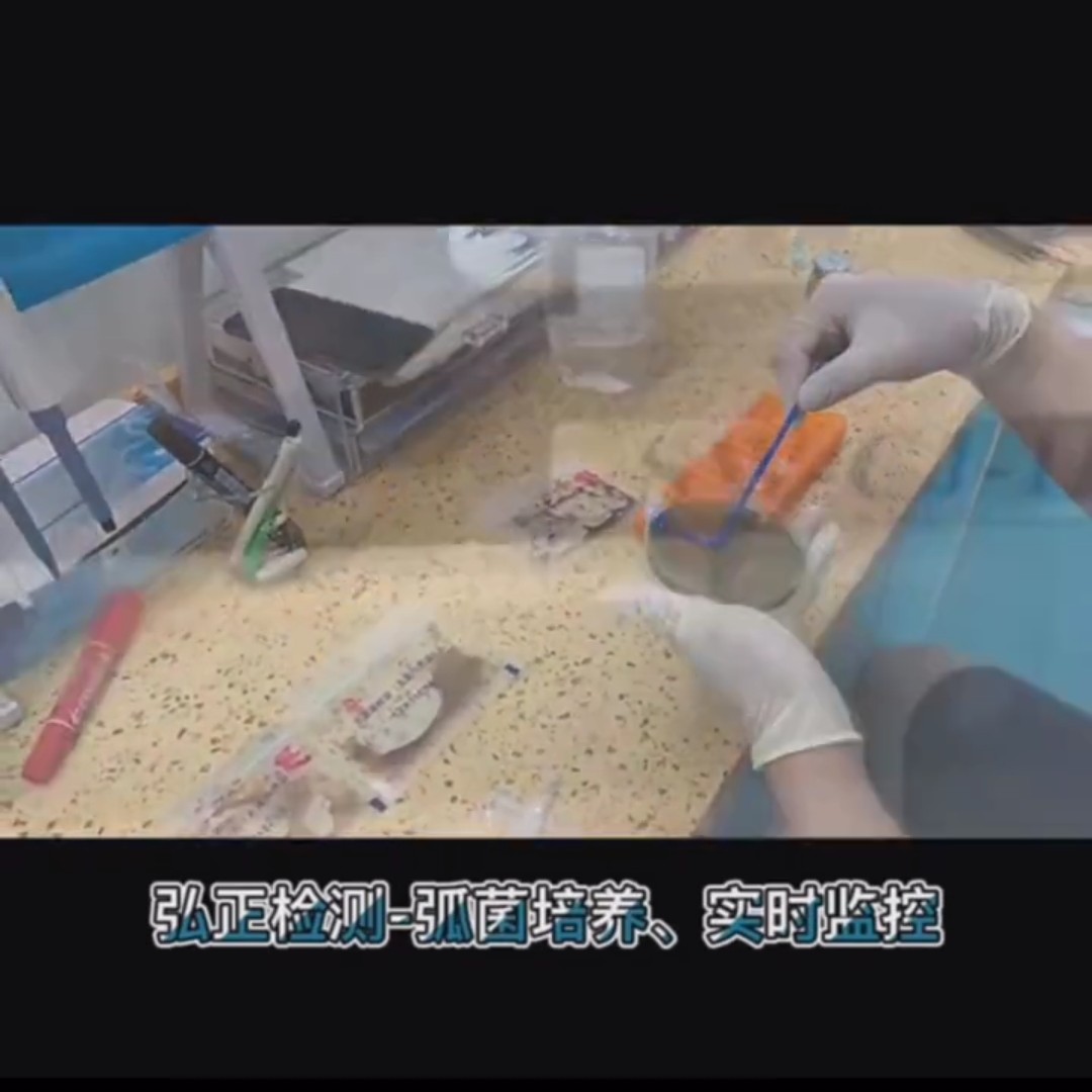 草虾苗  班节虾5x检测过关才发货