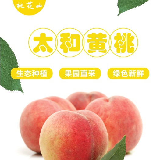 重庆市鲜食黄桃