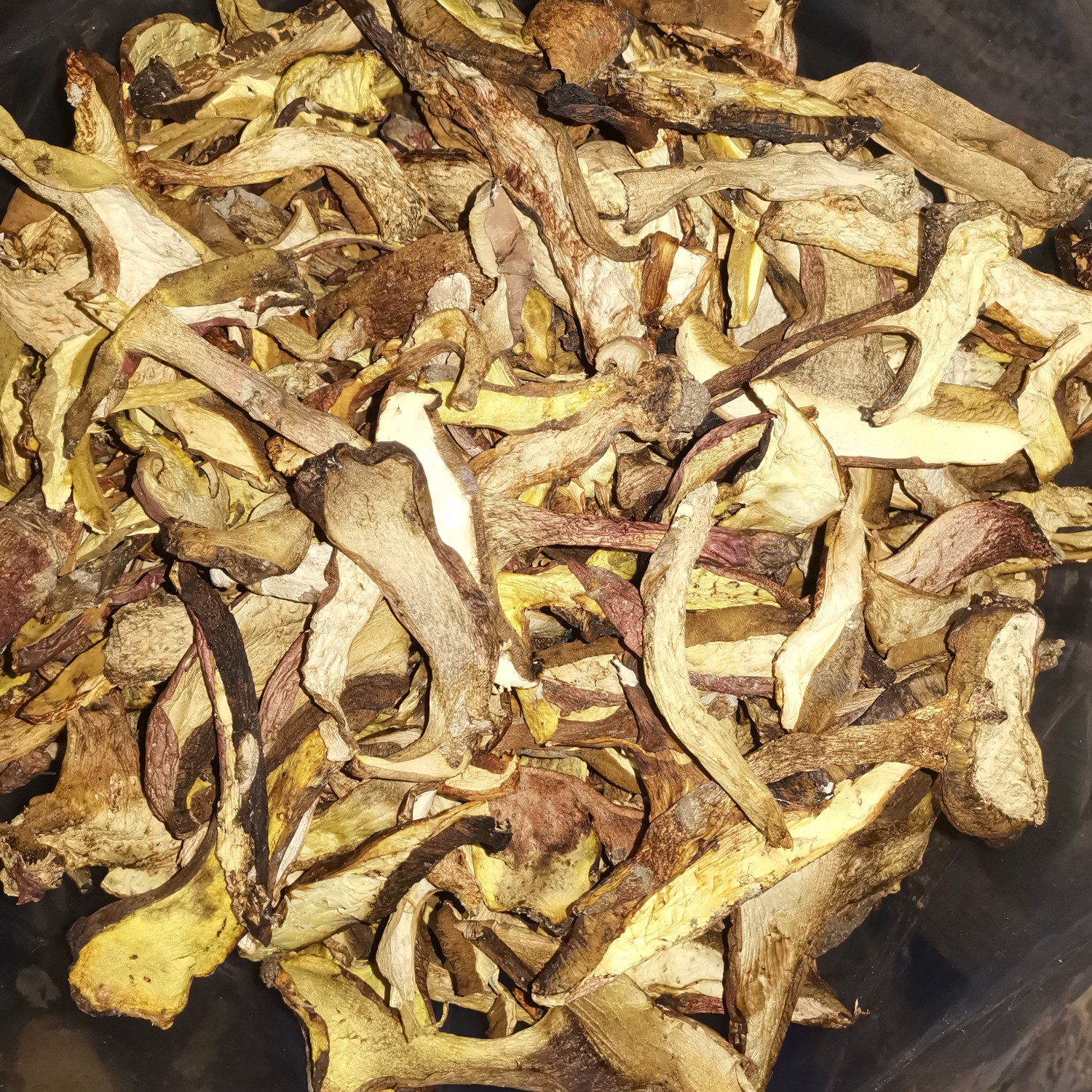 黄牛肝菌，大山深处的绿色食品