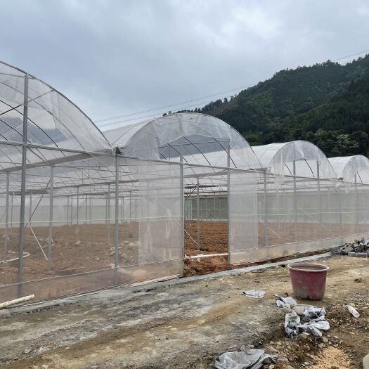 博罗县种植大棚  连栋棚 葡萄大棚， 插地棚。含骨架+三纵四卡+吊杆+薄膜