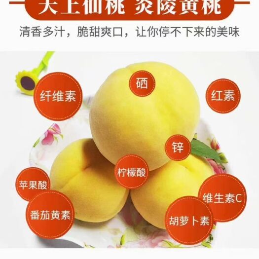 炎陵县炎陵黄桃 炎陵高山黄桃