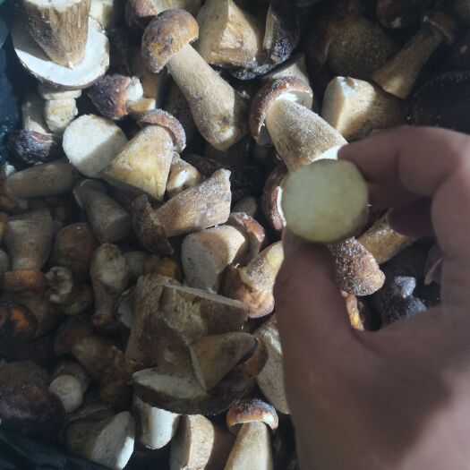扎兰屯市 牛肝菌
